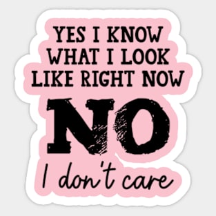 Yes I know what I look like right Now No I don't Care Funny Sticker